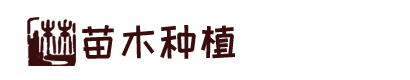 爱游戏(ayx)中国官方网站 - 登录入口